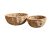 DSC_9176.png