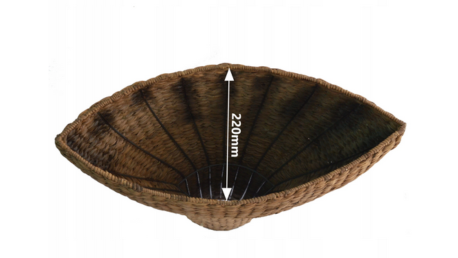 1755330 50 -2.png