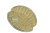 DSC_6978.png