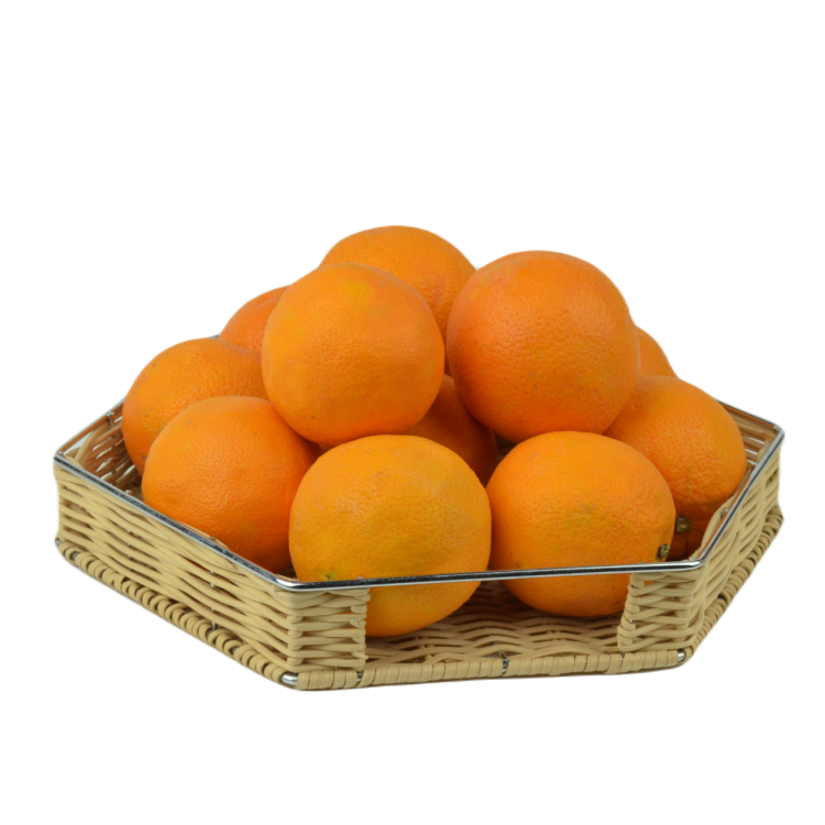 L3.png