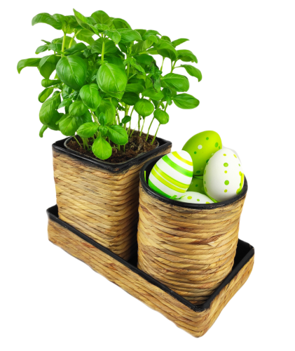 IMG_20240111_140624.png