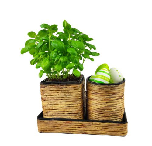 IMG_20240111_140710.png