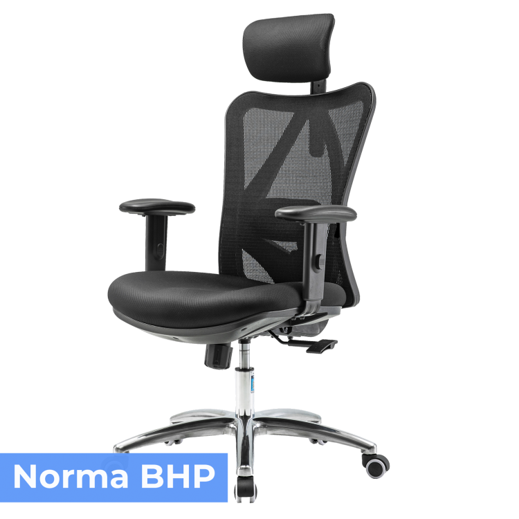 pol_pl_Fotel-ergonomiczny-ANGEL-biurowy-obrotowy-eurOpa-4795_3.png