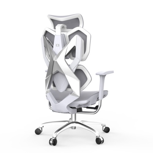 pol_pl_Fotel-ergonomiczny-gamingowy-Angel-Furia-Grey-13575_1.jpg
