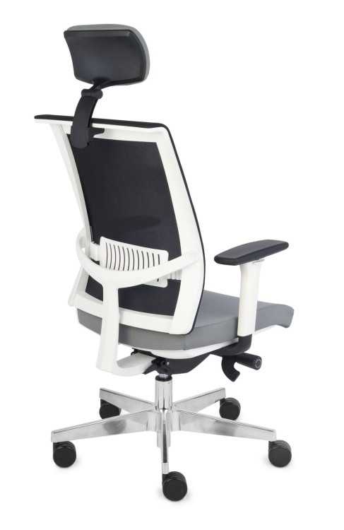 Level WS HD chrome.jpg