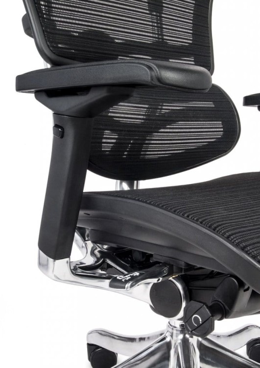 Ergohuman BS KMD31 _.jpg