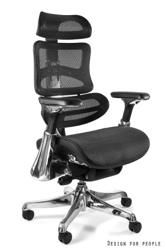 Ergothrone chrom 6.jpg