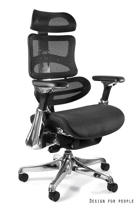 Ergothrone chrom 6.jpg