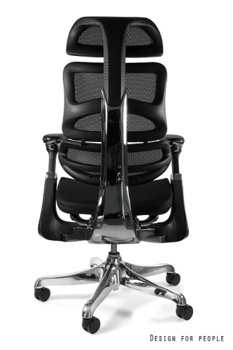 Ergothrone chrom 7(1).jpg