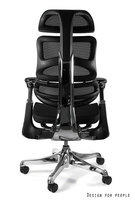 Ergothrone chrom 7(1).jpg