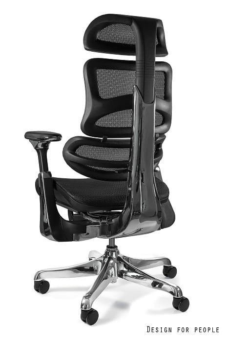 Ergothrone chrom 7.jpg